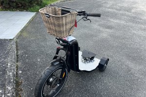 Panier compact et polyvalent